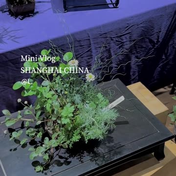 📹 Trending Chinese Viral Videos | Funny, Emotional & Shocking Moments