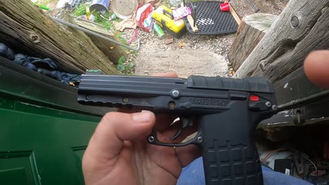 Flock it Farm: Kal Tec PMR 0.22 review update