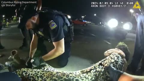 Wildest Police Videos on the Internet
