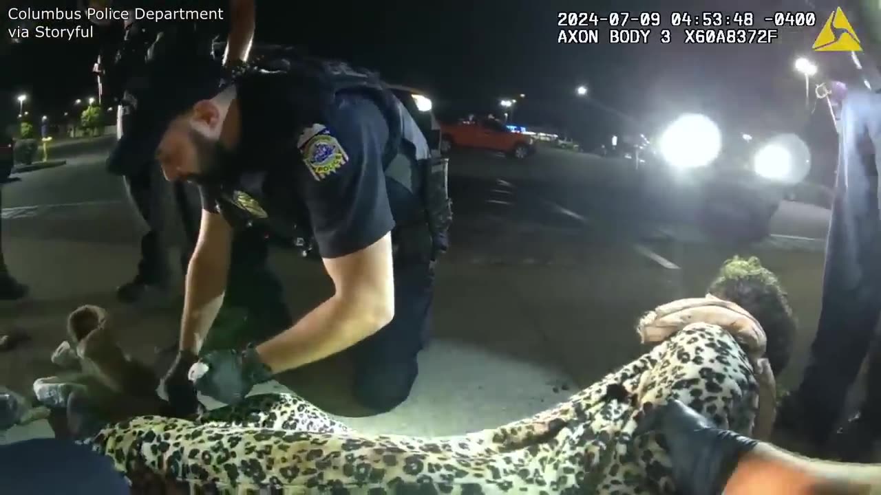 Wildest Police Videos on the Internet