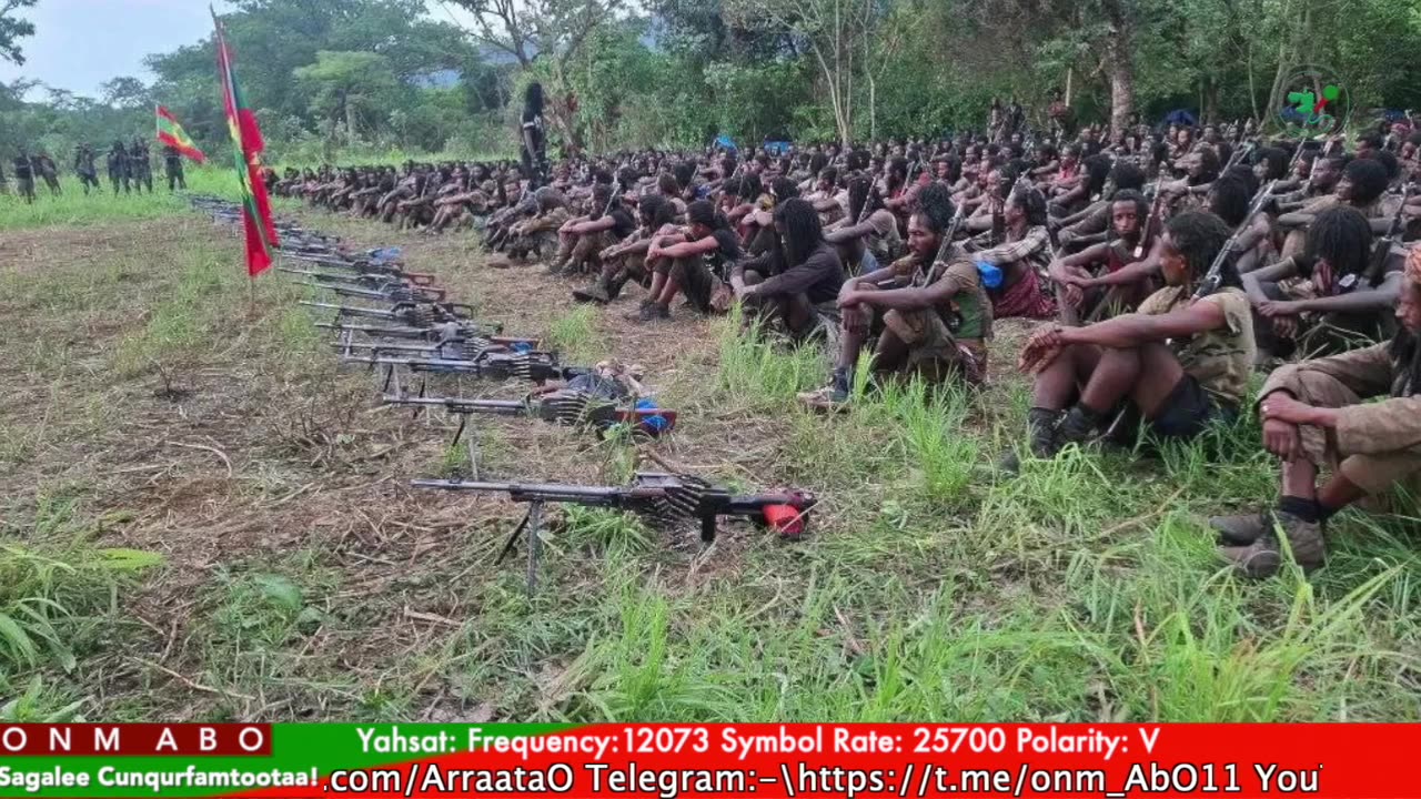 Gabaasa Tarkaanfii ONM-ABO Caamsaa 20-2025 itti dhiyaadhaa!