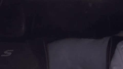 My Dog Snuck Into My Car and Scared Me So Bad 😂