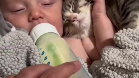 Kittens And Kids 😘😊 