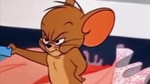 Before you click follow.. Check out each other's profile thoroughly!😁