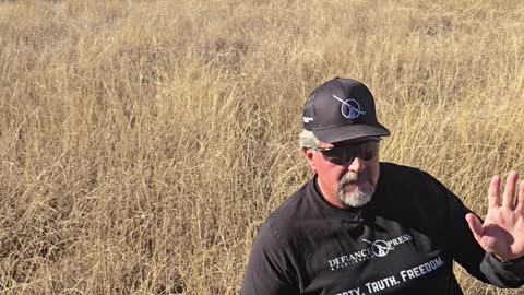 Don't Believe Everything You See Online