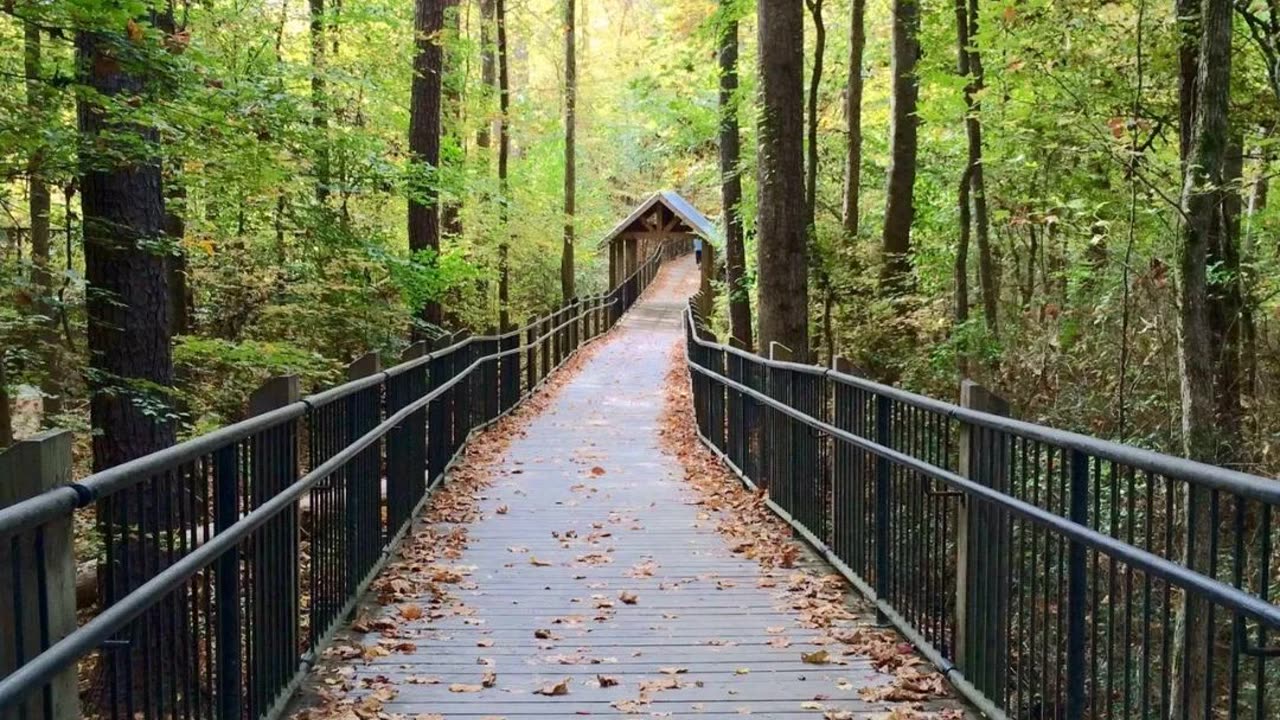 Atlanta, GA: Our Top 5 Places to Run