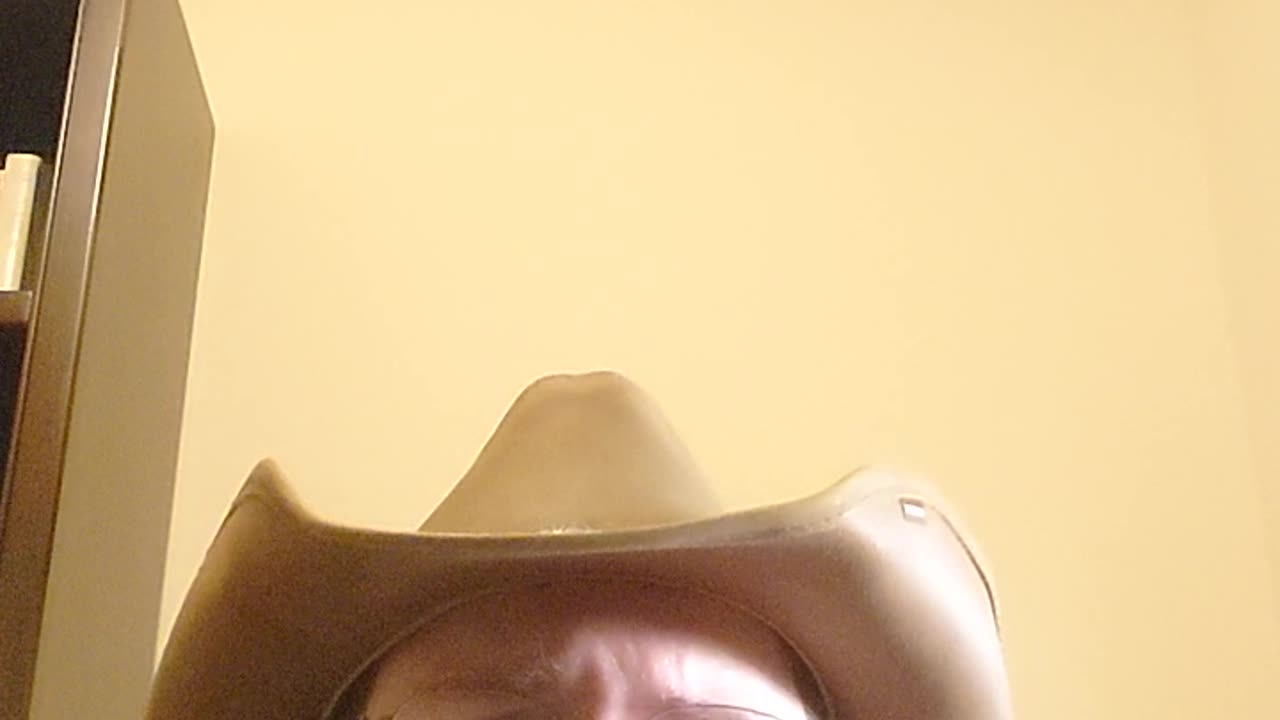 Progress of militant democracy.