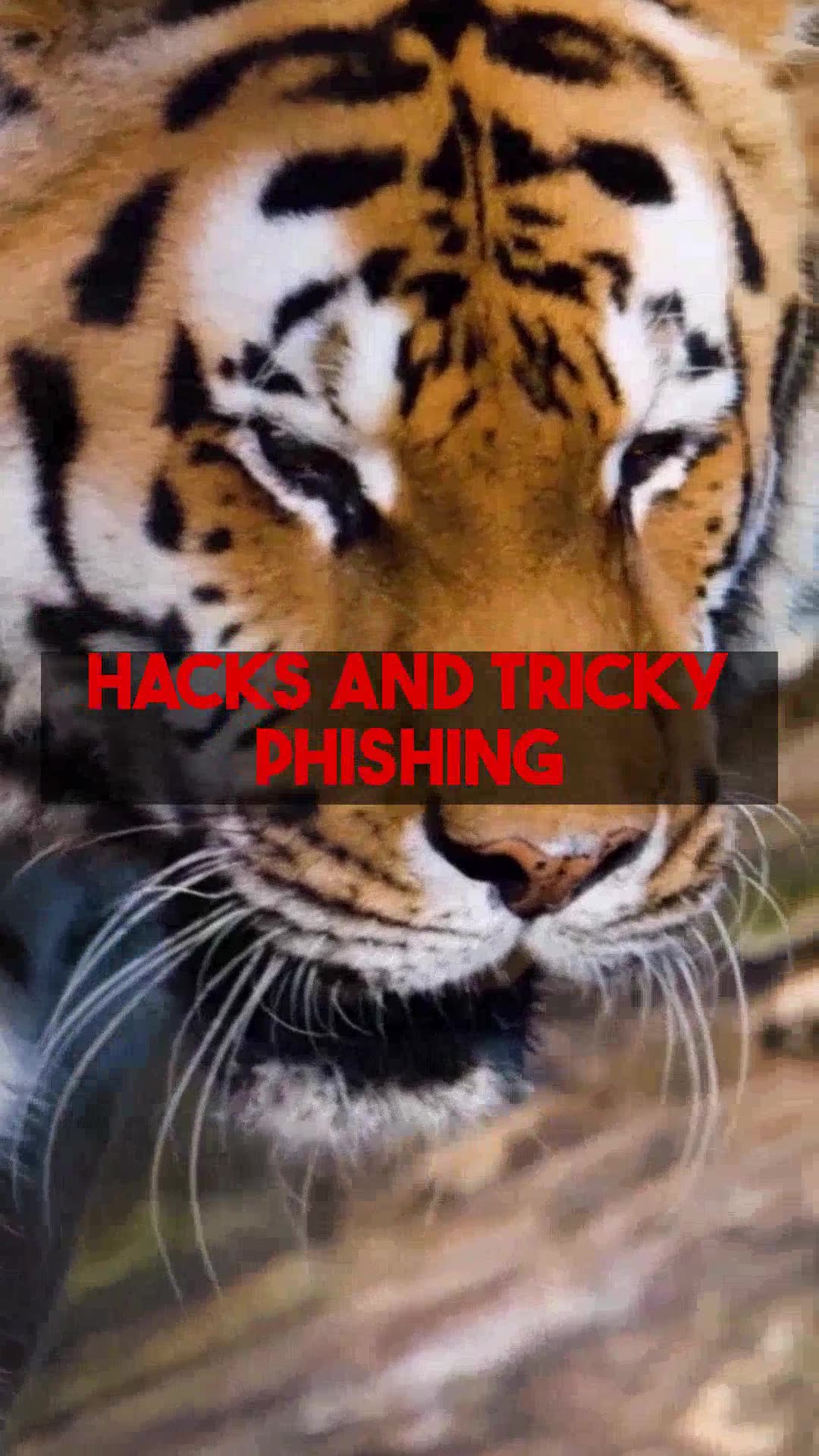 Fact Check Using AI to Enhance Cybersecurity Compliance