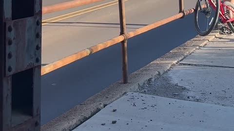 Compliment Bike Crash Chaos