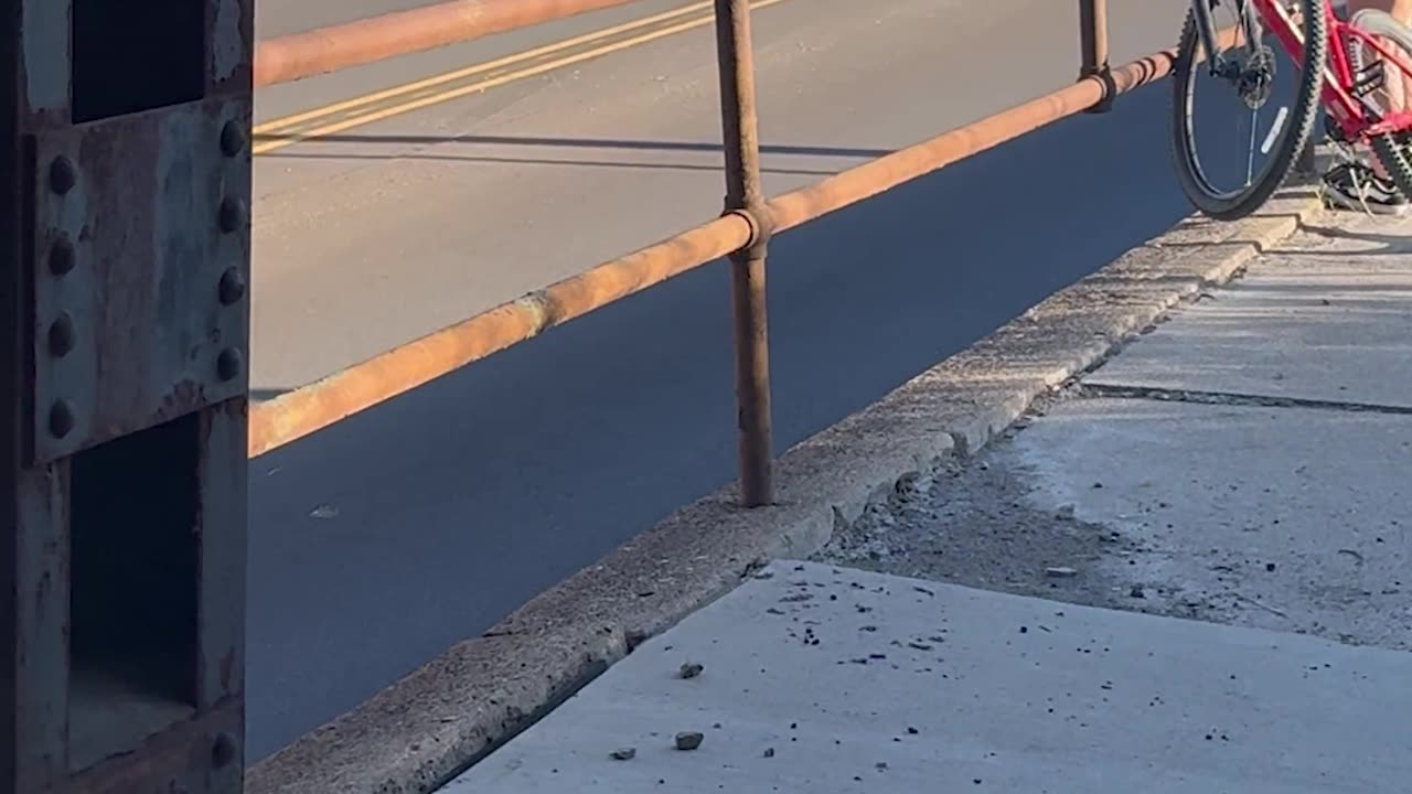 Compliment Bike Crash Chaos