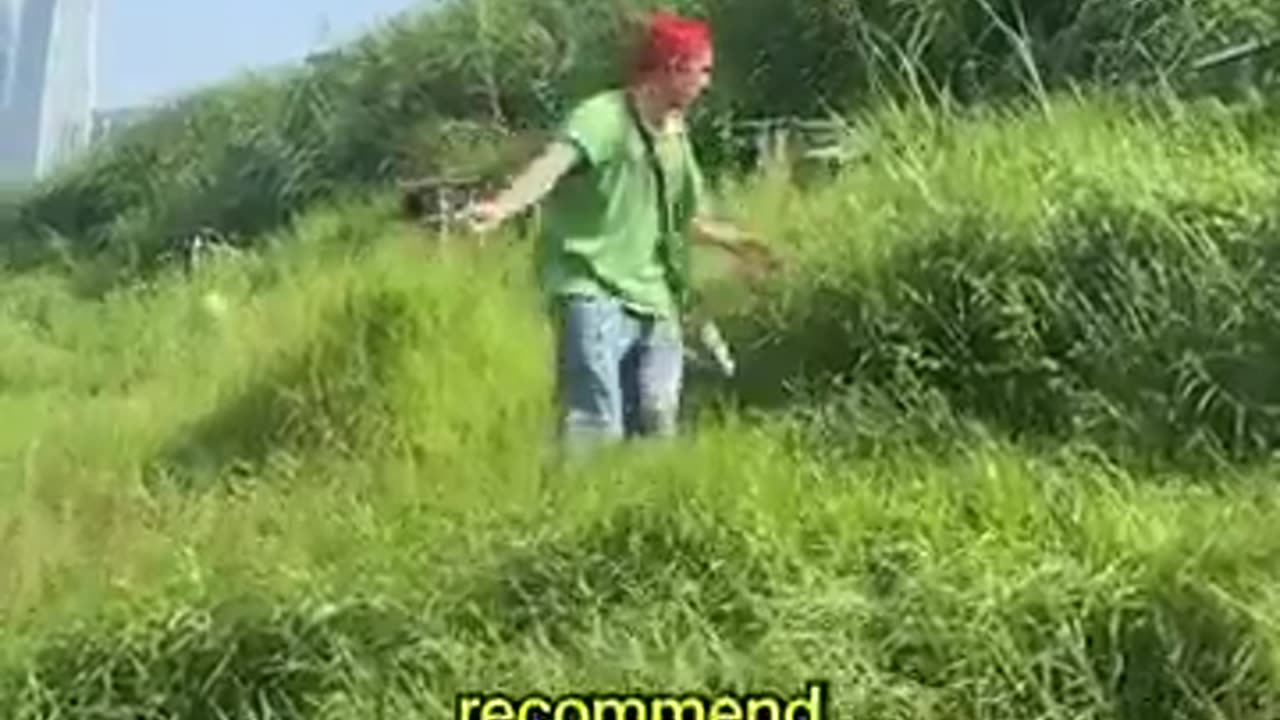 😂🐛 This Butterfly Tool is Absolutely Hilarious! | FunFM