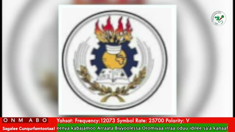 Oduu Waaree ONM-ABO Caamsaa 8-2025 itti dhiyaadhaa!