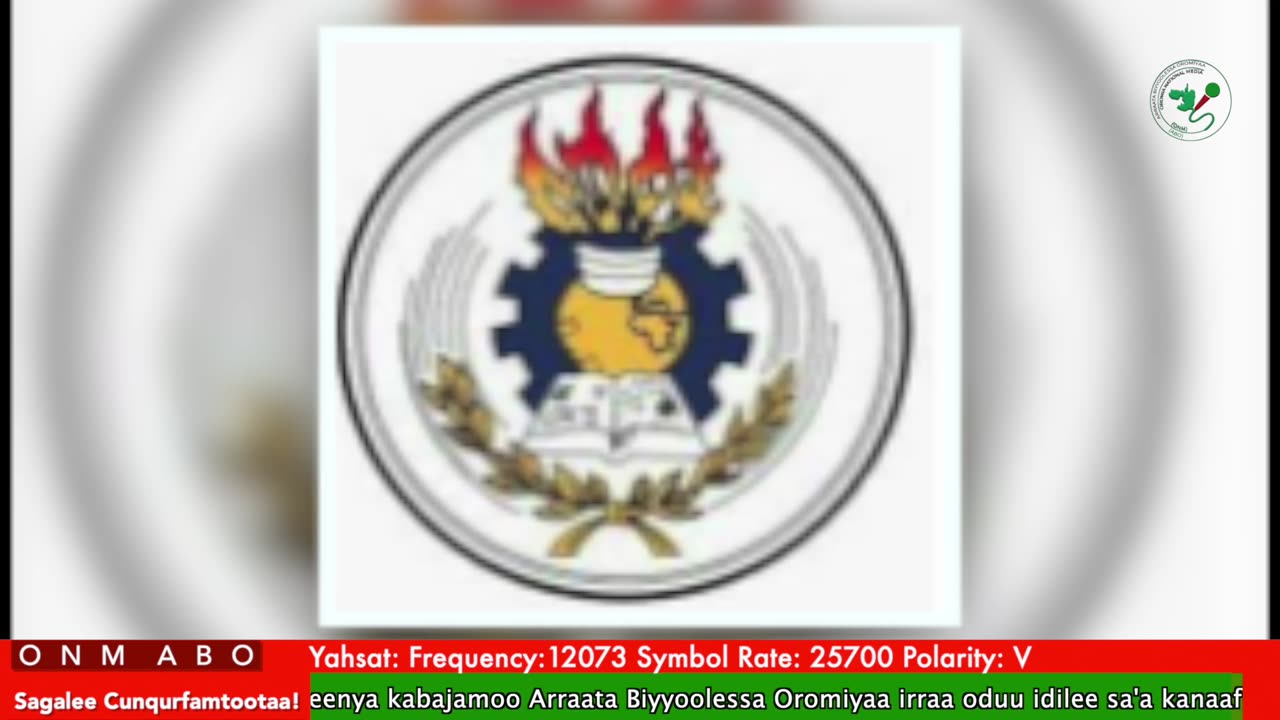 Oduu Waaree ONM-ABO Caamsaa 8-2025 itti dhiyaadhaa!