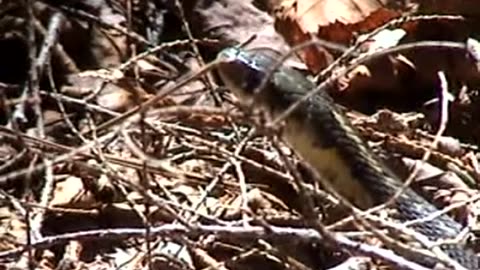 2005-NY-LakeTitus-17