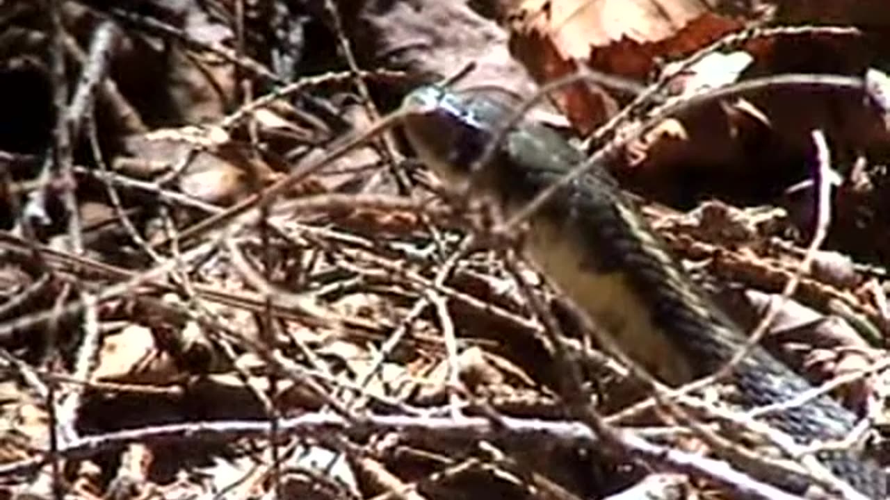 2005-NY-LakeTitus-17