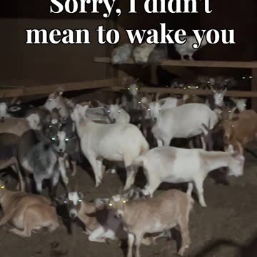 Sorry, I didn't mean to wake you