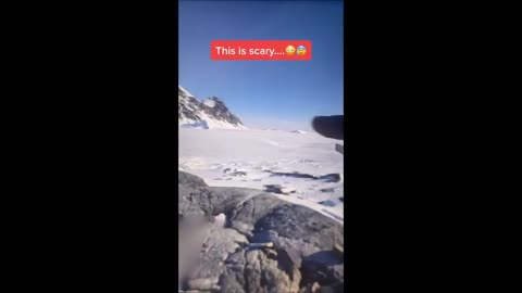 Google Maps a repéré une créature géante ressemblant à un insecte en Antarctique