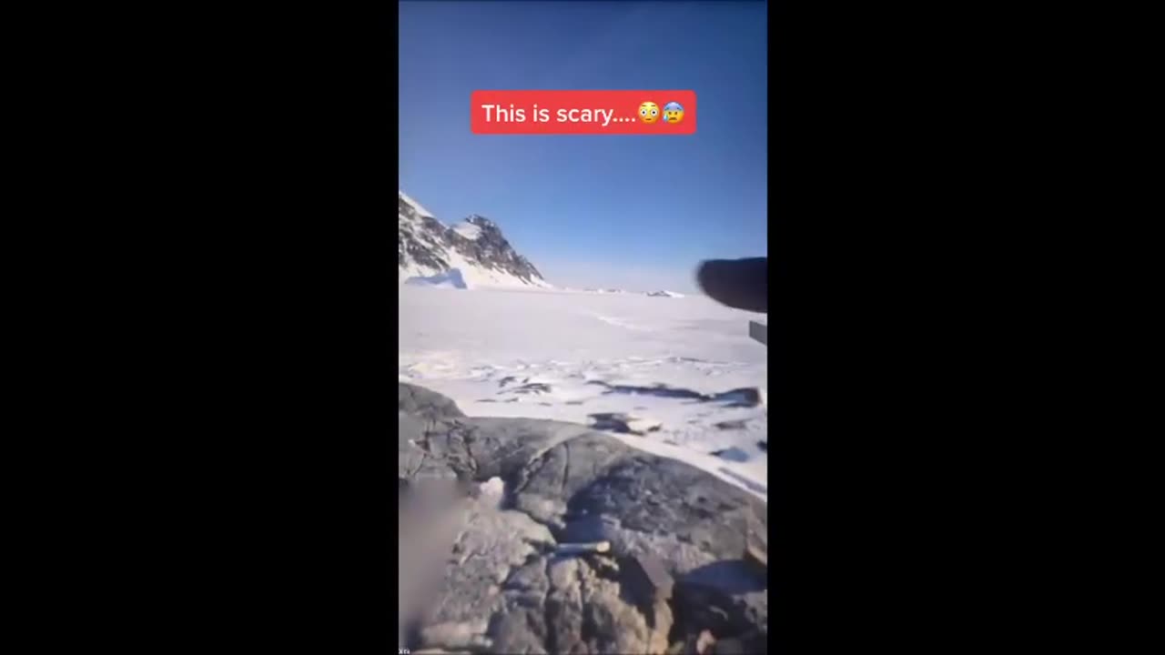 Google Maps a repéré une créature géante ressemblant à un insecte en Antarctique