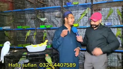 Big birds 🐦 market karachi