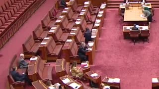 Australian Senate: Pauline Hanson entered the chamber wearing a burqa