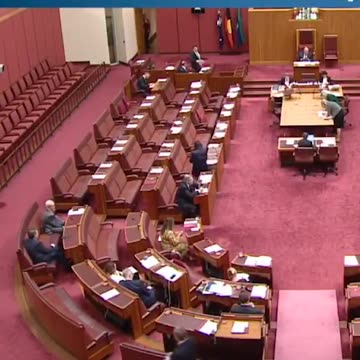 Australian Senate: Pauline Hanson entered the chamber wearing a burqa