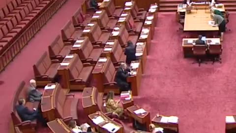 Australian Senate: Pauline Hanson entered the chamber wearing a burqa