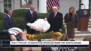 Closing remarks and the Official Pardon Ceremony — “Waddle is Missing in Action”