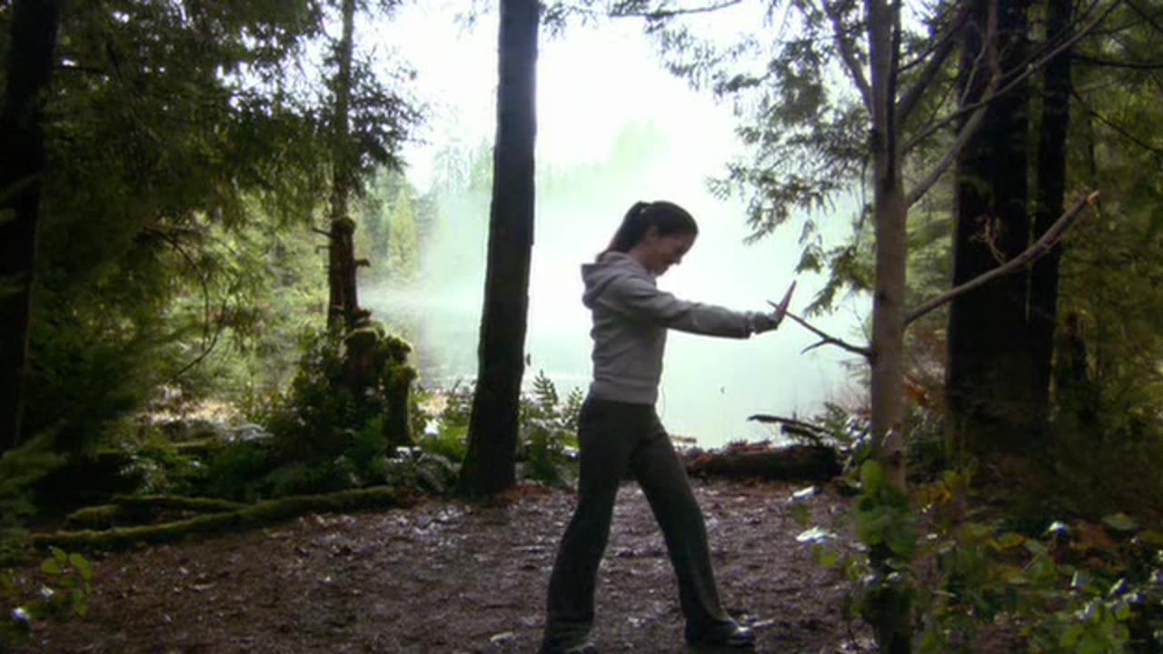 "Painkiller Jane" Starring Emmanuelle Vaugier