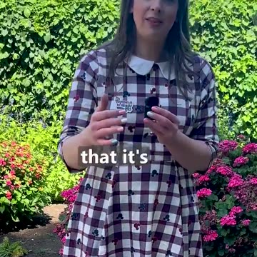 California's Medicaid program, @MediCal_DHCS.......