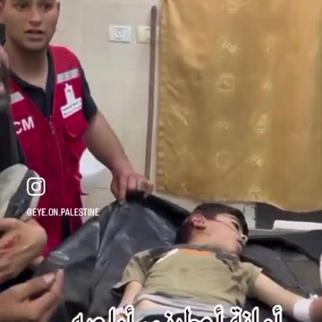 My Son Who Asked You for Help