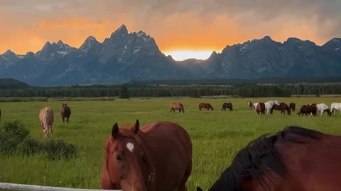 Wyoming, USA