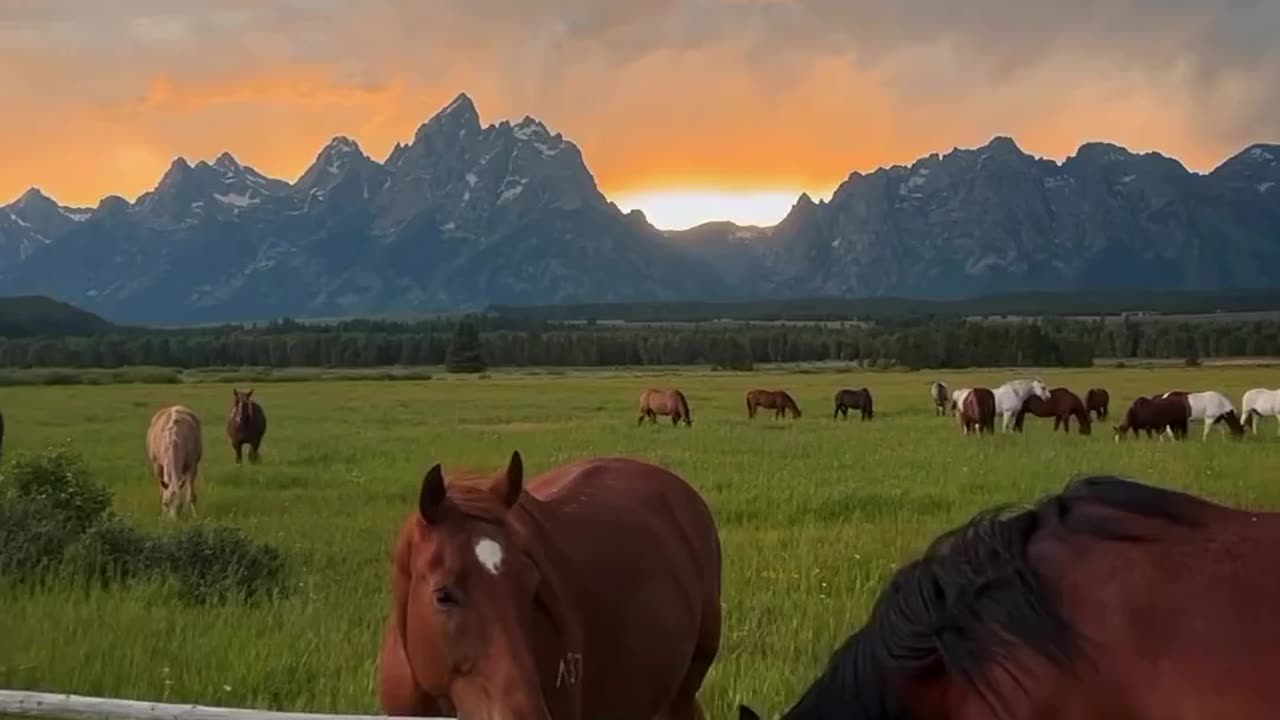 Wyoming, USA