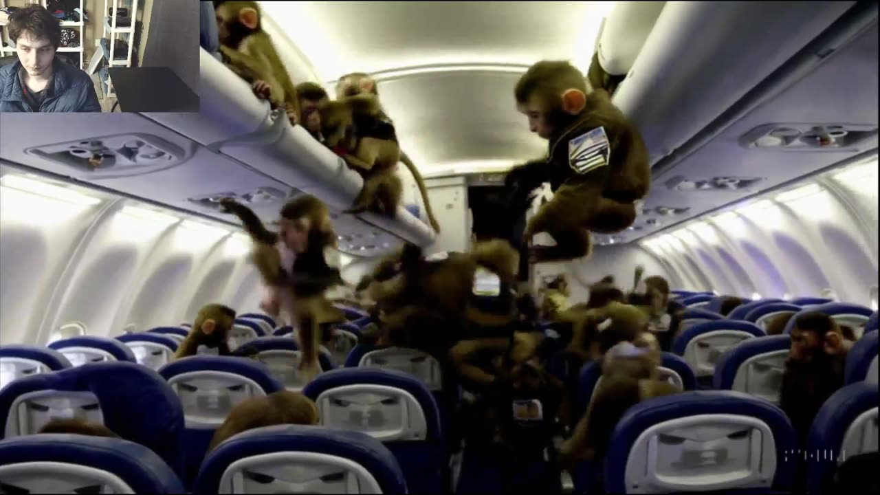 Over 5 Monkeys Roam Around An Airplane Fake Funny Parody Video With Live Commentary