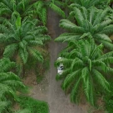 The Hidden Side of Fame: Health Struggles Celebrities Face