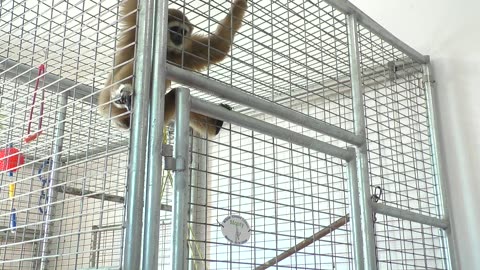 More of Monty being adorable and energetic