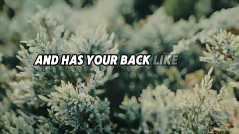 Motivational Quotes