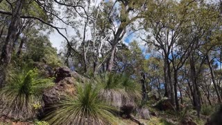 Churchman's Bushland Circuit