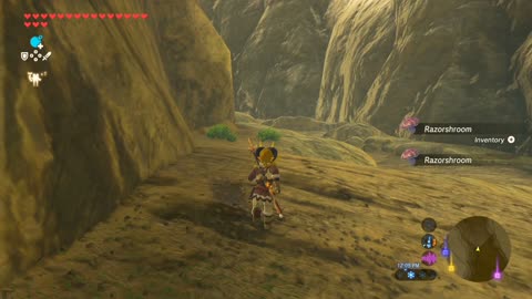 Zelda: Breath of the Wild (Switch 2) – Part 32