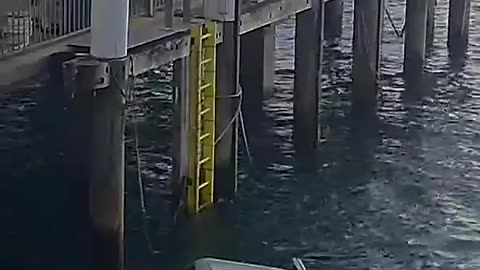 CCTV shows car busting through ferry terminal shelter and into sea Stuff.co.nz