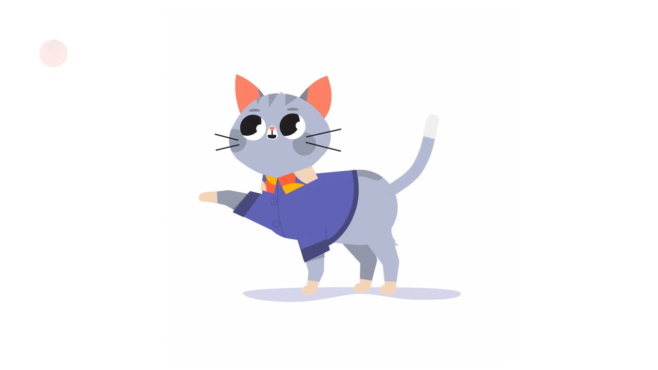 A Catโs Life Cycle ๐พ๐