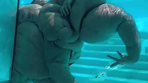Weird Aquarium creatures 😱😯