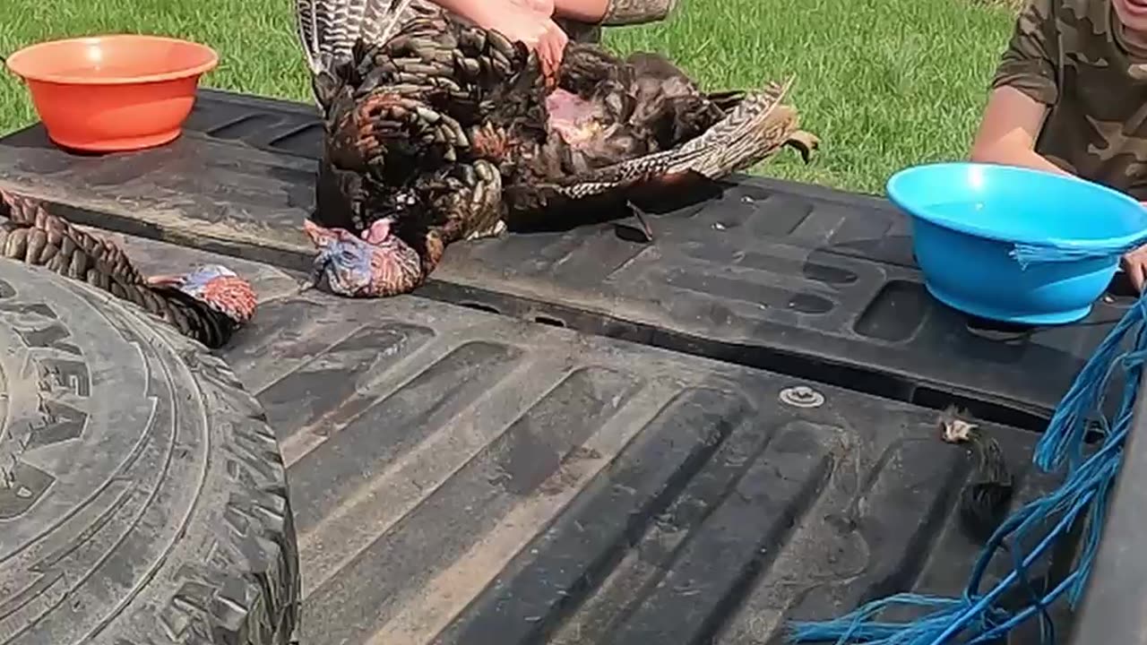 Meat On The Table // Hard To Beat Fresh Wild Turkey!