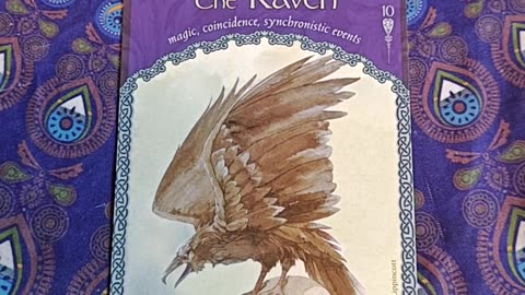 Oracle Card Reading 7/4/25