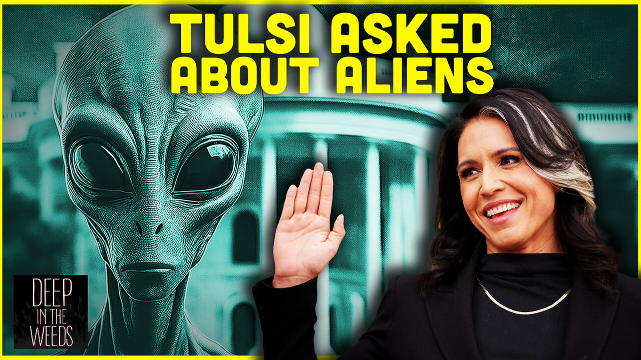 Tulsi Talks Aliens? Deep In The Weeds!