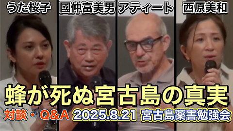 Discussion about Miyako 20250821