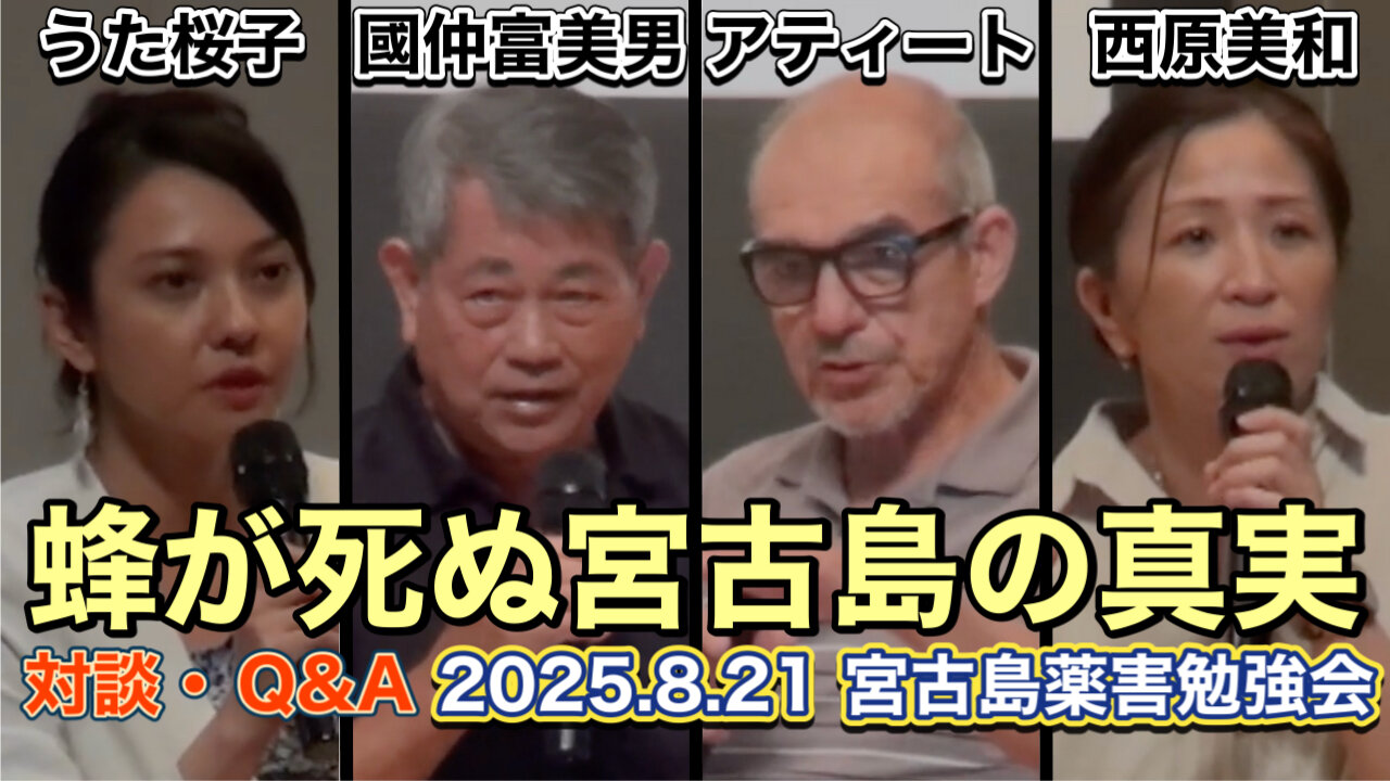 Discussion about Miyako 20250821