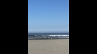 The sermon of the week The End times chapter 1