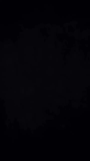 Bellarose and the Pirate