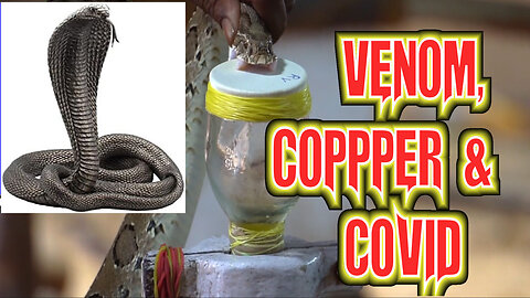 Coin Shortages as Lethal Virus Rages