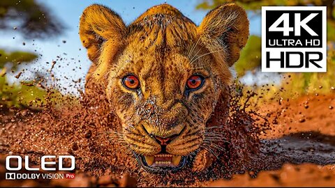 4K HDR 120 FPS - BEST Dolby Vision 4K Video with Relaxing Music for Stress Relief